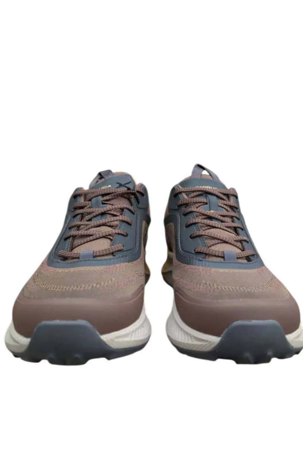 Deportivo Hombre Chiruca Avila 02 GoreTex Marron