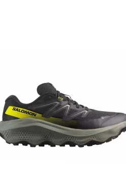 Deportivo Hombre Salomon Ultra Flow 2 GTX W 478832
