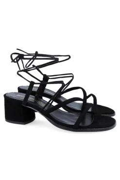 Sandalia Bryan Grecia 2605 Ante Negro