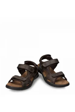 Sandalia Panama Jack salton basics c1 marron