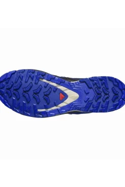 Zapatilla hombre Salomon 472703 xa pro 3d v9 gtx blue print