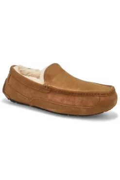 Zapatillas de casa ugg ascot 1101110 chestnut