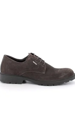 Zapato Hombre Igi & Co 8602333 Caffe GTX