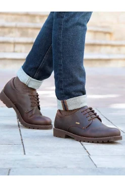 Zapato Hombre Panama Jack Jackson C1 Castaño Goretex